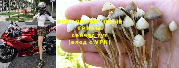 ГАЛЛЮЦИНОГЕННЫЕ ГРИБЫ Алзамай