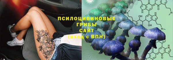 ГАЛЛЮЦИНОГЕННЫЕ ГРИБЫ Алзамай