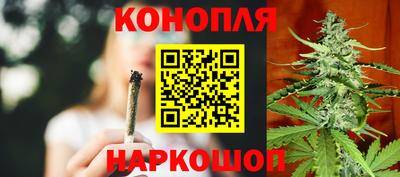 прущие крисы Усть-Илимск
