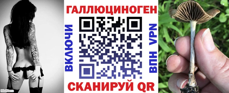 Галлюциногенные грибы Psilocybe  площадка формула  Арзамас 