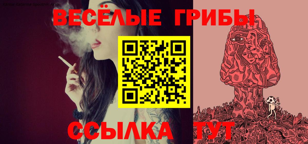 Галлюциногенные грибы Psilocybine cubensis  Вход с VPN  купить   Псилоцибиновые грибы Psilocybe  Арзамас 